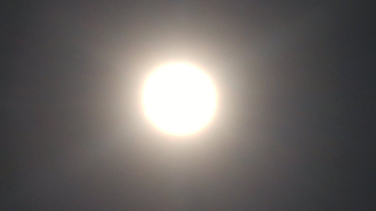 AvlecaGroup's tweet image. Enjoyed the #Eclipse2017 #SolarEclipse2017 today - good excuse to get outside....#noglasses