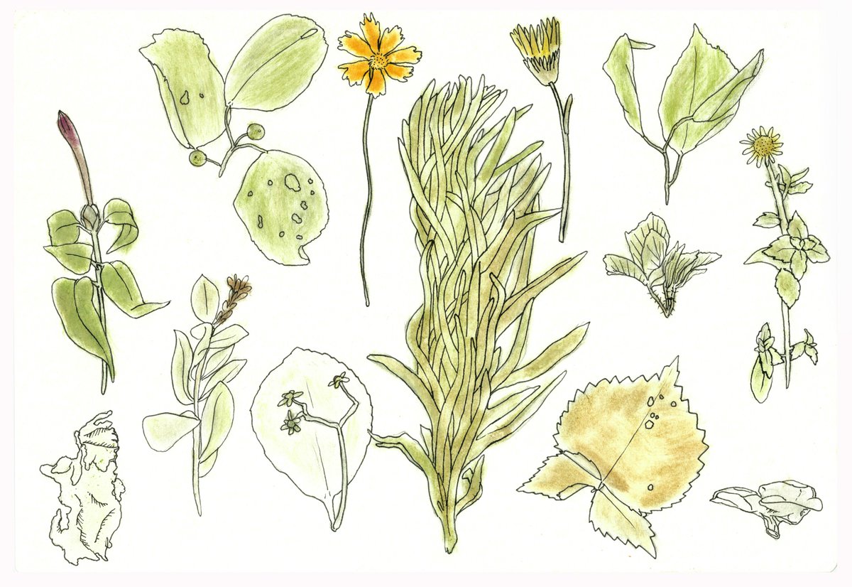 ⚡️ “예술공간 이아 1기 해외입주작가 워크숍 8/26(토) 10am~1pm <a href="/Art/">Arthur Bullard</a> Space IAa in Jeju*”

x.com/i/moments/8997…