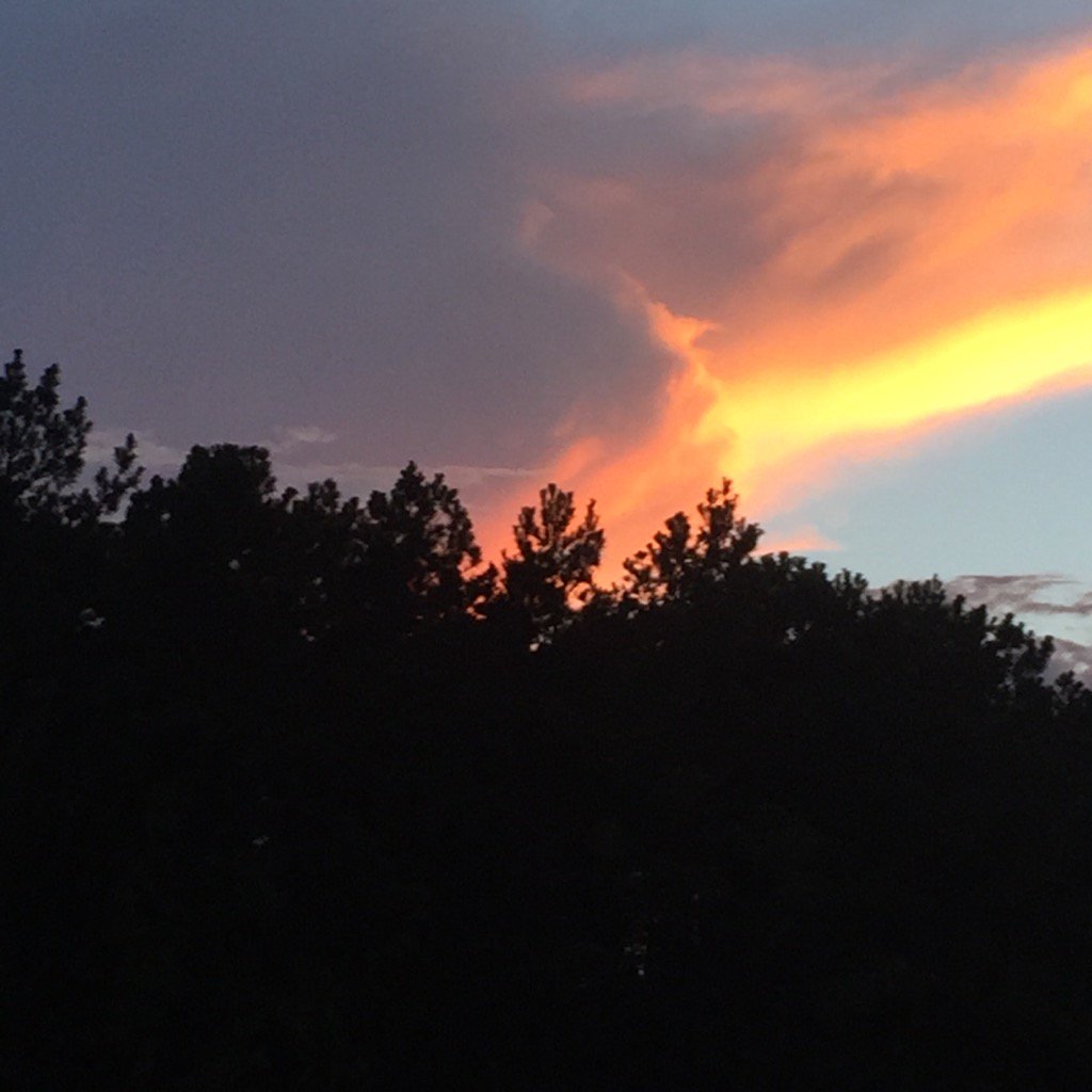 jwnature's tweet photo. Beautiful #sunset @TXForestService #JonesStateForest. @TexasMasterNat @SGSF_Forests @UC_USFS @VisitConroe https://t.co/XL0fIWAr3L