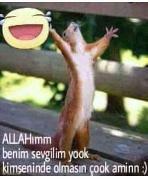 avesta (@avestaveelebi1) on Twitter photo 