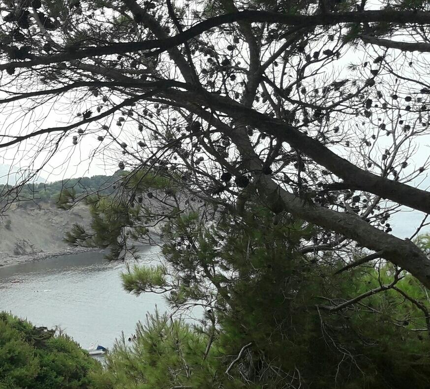_sarah_zi's tweet photo. beautiful place 
#nature #Voyage #Tourisme
#algerie #cherchell #tipaza
#photography #photo 
#سياحة https://t.co/aIkFXyfYqK