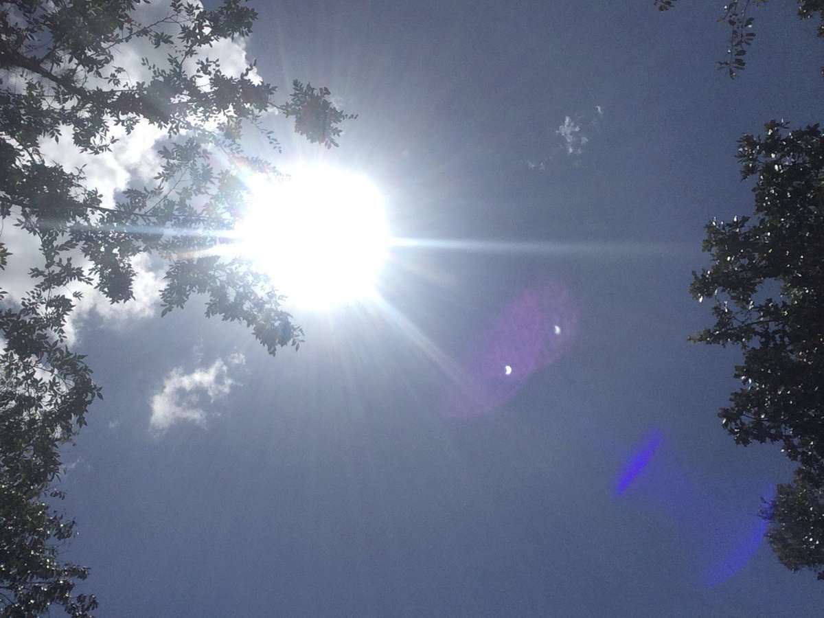 DrStaceyDVM's tweet photo. Enjoying the Light Show, #SolarEclipse2017, #CBSEclipse https://t.co/xOtplGweuQ