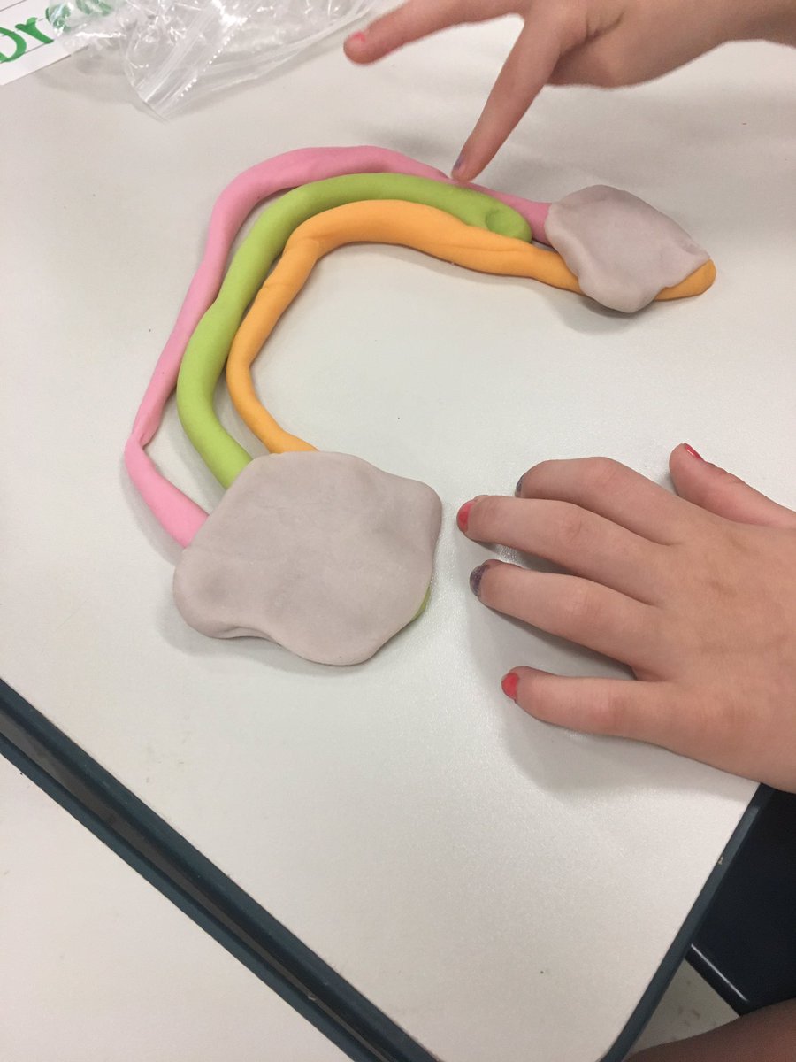 LisaMorganK3's tweet photo. We synergized after we made magic play doh @weAREmckinley #kindergarten https://t.co/hjbjAUPLvv