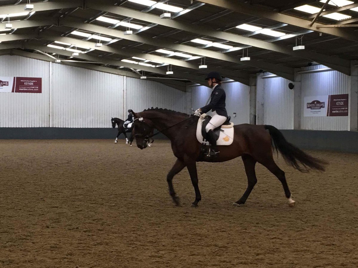 T247K's tweet photo. After an educ. Area Festival what does everyone do to help settle their horses when staying away? #247Dressage #247equestrian #riderhour https://t.co/gzNnCmKNPd