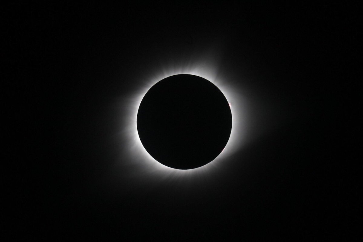 SundayLuxe's tweet photo. It took the sun and the moon to bring everyone together #Eclipse2017 #AustraliaGotNothing #NoScienceHere https://t.co/1nBEdosrGQ