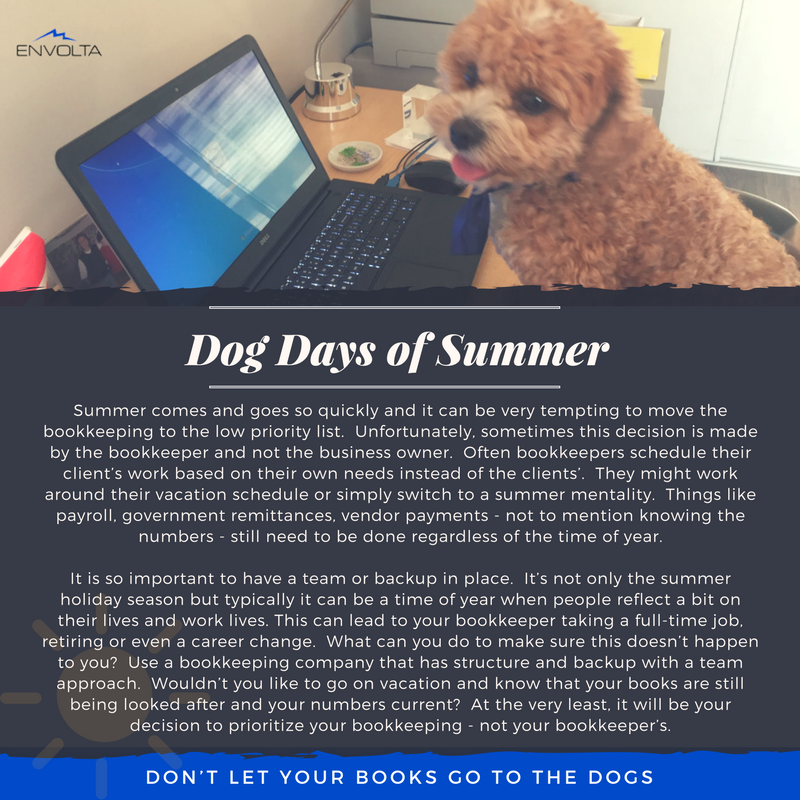 envolta's tweet image. 🐶Let Envolta worry about the bookkeeping while you plan your end of summer vacation!#bookkeeping #ottawa #summer #vacationtime #corporatetax