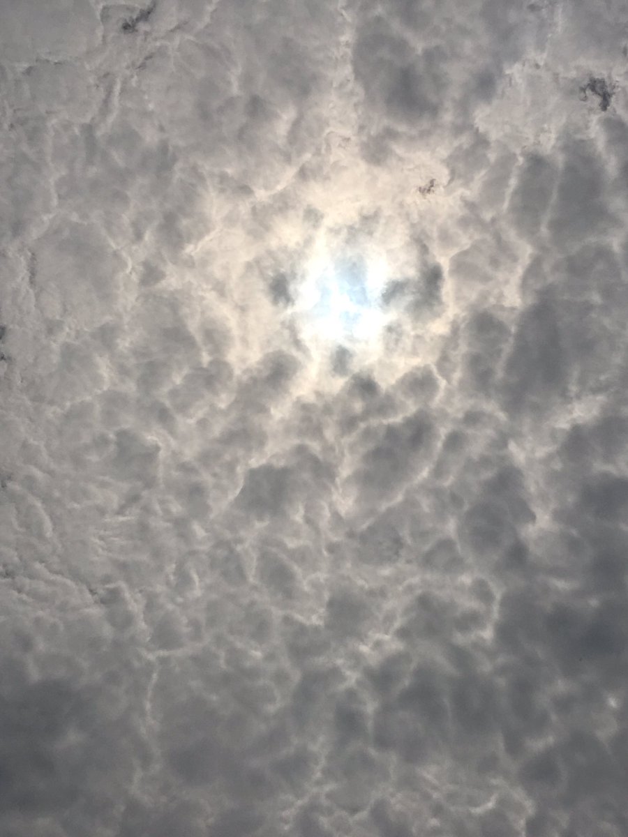 What an incredible experience! #lpseclipse <a href="/kbelementary/">Kellybrook LPS</a>