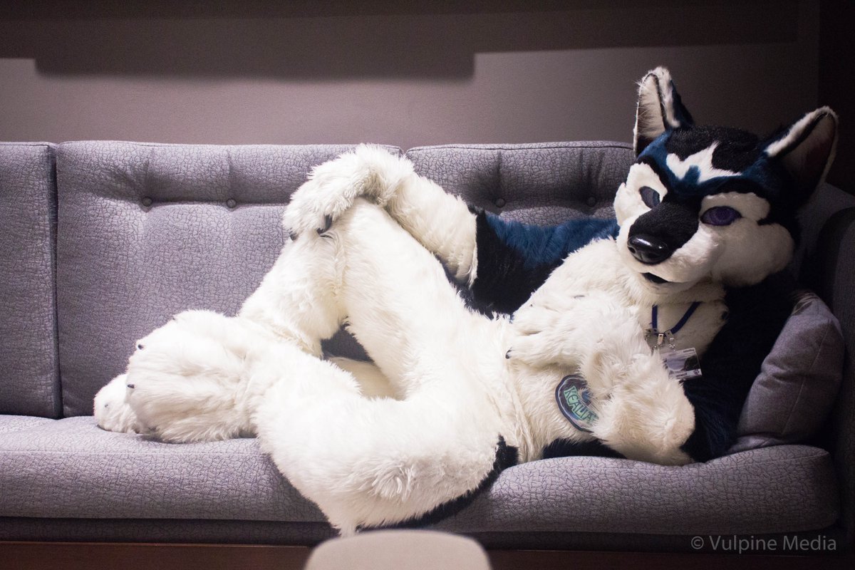 Vulpine_Media's tweet photo. Going through really old photos I found @kealianwolf posing at #AC2014! Back when I was still learning the basics of photography. https://t.co/0P8SSaMfU6