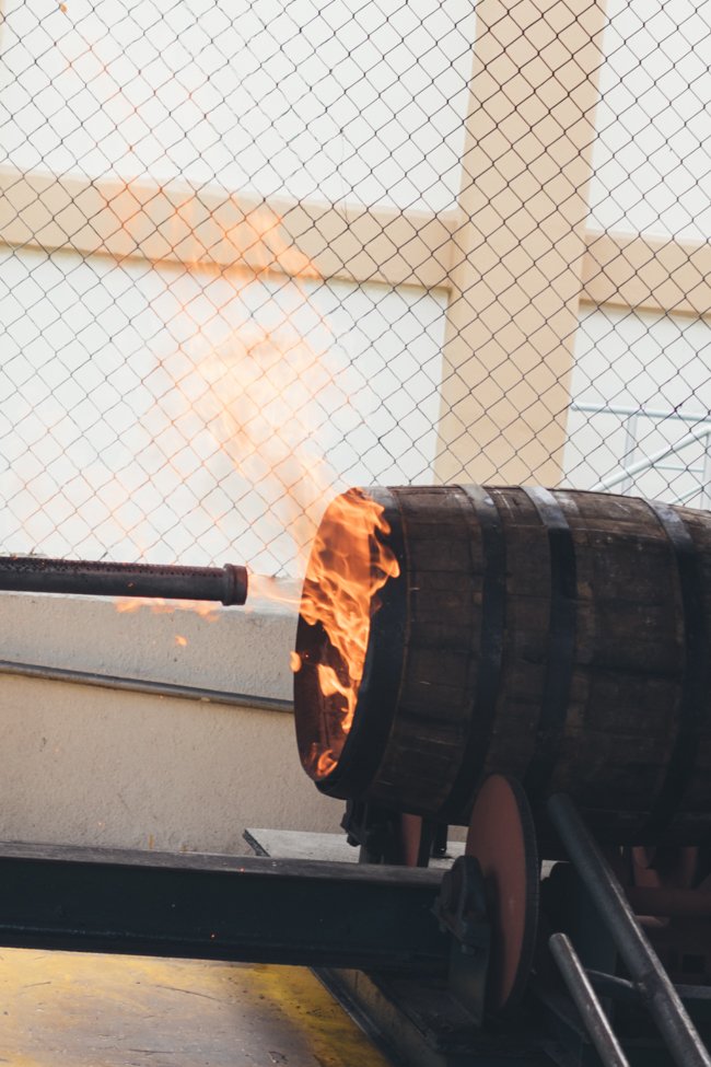 InBetweenPics's tweet photo. Revealing Barcelo Rum secrets 🙊 #GoDomRep @GoDomRep #Barcelorum https://t.co/oPKaQkehwb