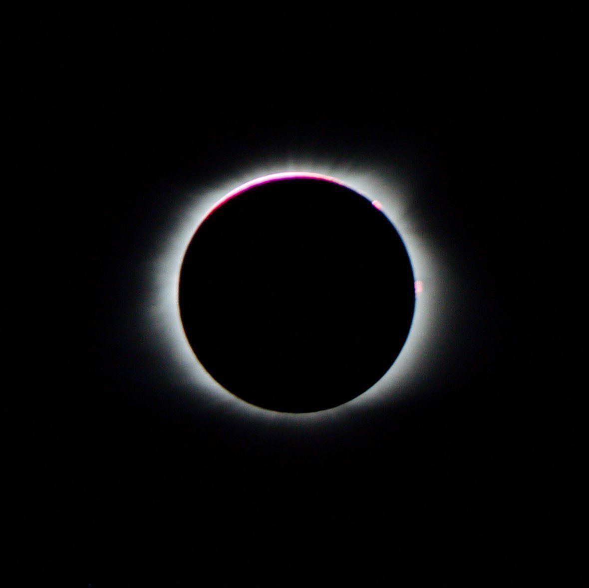 RitchieDTaylor's tweet photo. Another photo of the eclipse from Bowling Green, Ky. https://t.co/x2odErM0RC