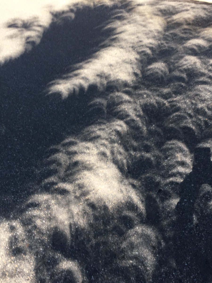 Shadow cast eclipse: