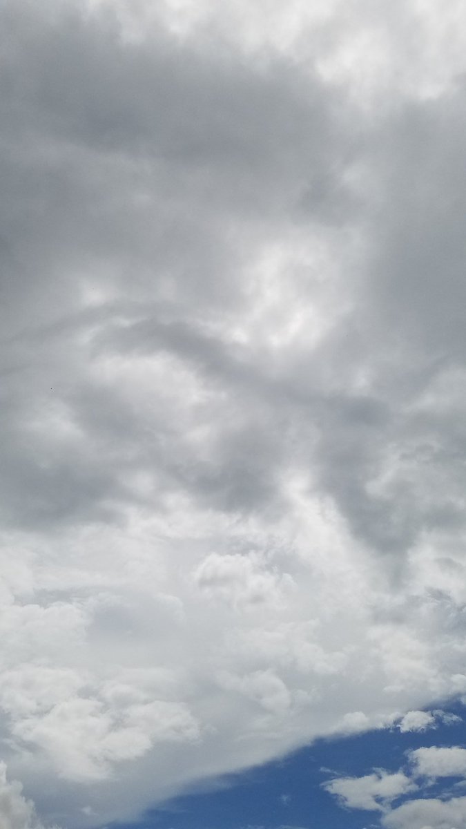BoothBJammin's tweet photo. #SolarEclipse2017 #floridaeclipse https://t.co/PTqDk6XTcm
