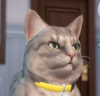 avenidasims's tweet image. Mis cuatro estados de ánimo