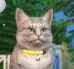 avenidasims's tweet image. Mis cuatro estados de ánimo