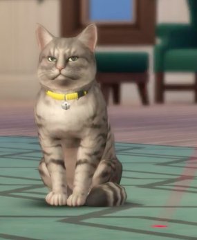 avenidasims's tweet image. Mis cuatro estados de ánimo