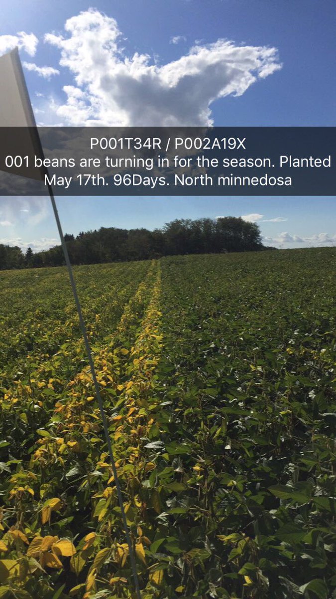 DrewCardy's tweet photo. @PioneerWCanada #acceleratedyield https://t.co/ulVl0JY1oY