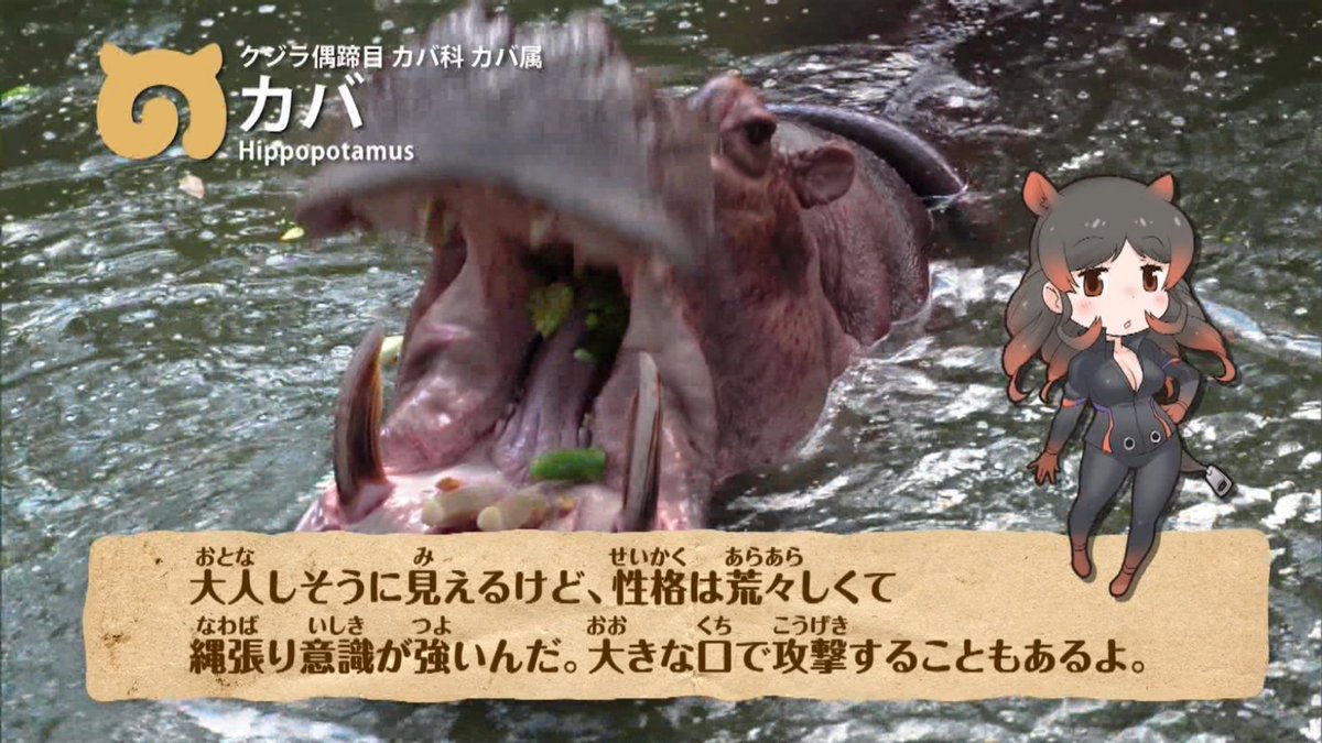 けものフレンズ 再放送 第7話のおえかき動物図鑑はカバ けもちゃん