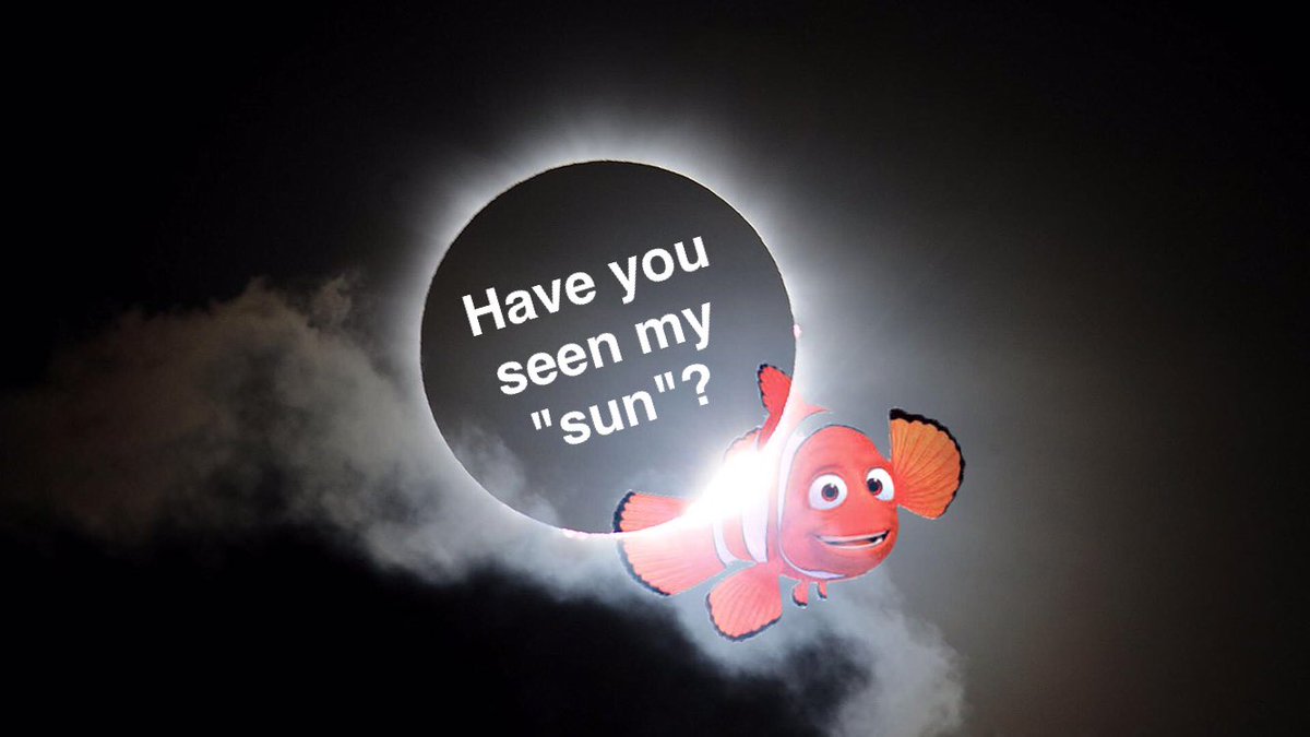 David Mackey (@davidmmackey) on Twitter photo 