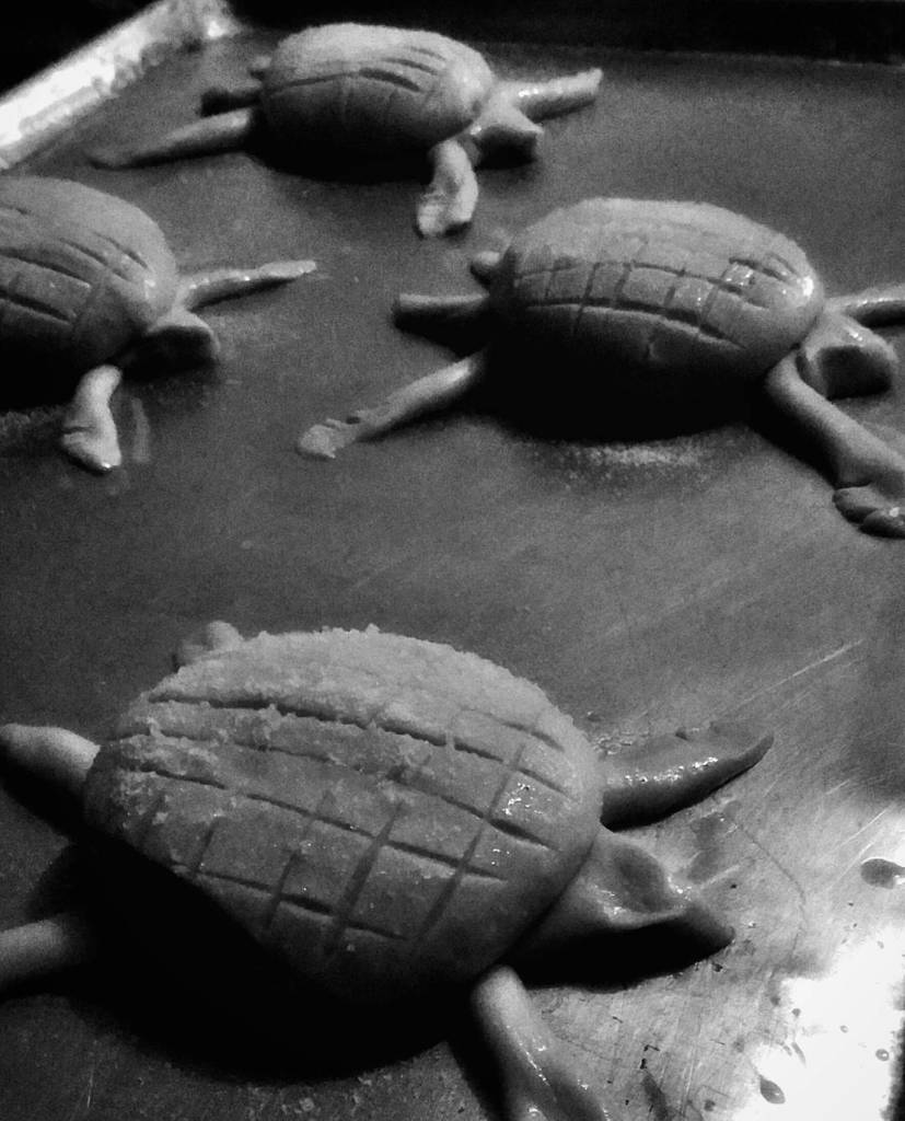 PochoVE's tweet photo. Así van estas tortugas dulces a sus 14 horas de #fermentación natural... les faltan 16 más, buenas noches #RealBr… https://t.co/u1MiCmYLj3 https://t.co/khFRNlpRAO