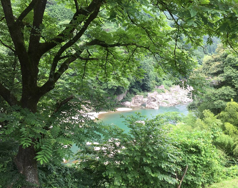 BrandmanPRAust's tweet photo. On day 4 of @WalkJapan's Summer Nakasendo Way, guests stroll through a verdant valley surrounding the emerald-green waters of the Kiso river https://t.co/bjNgpKPdOJ