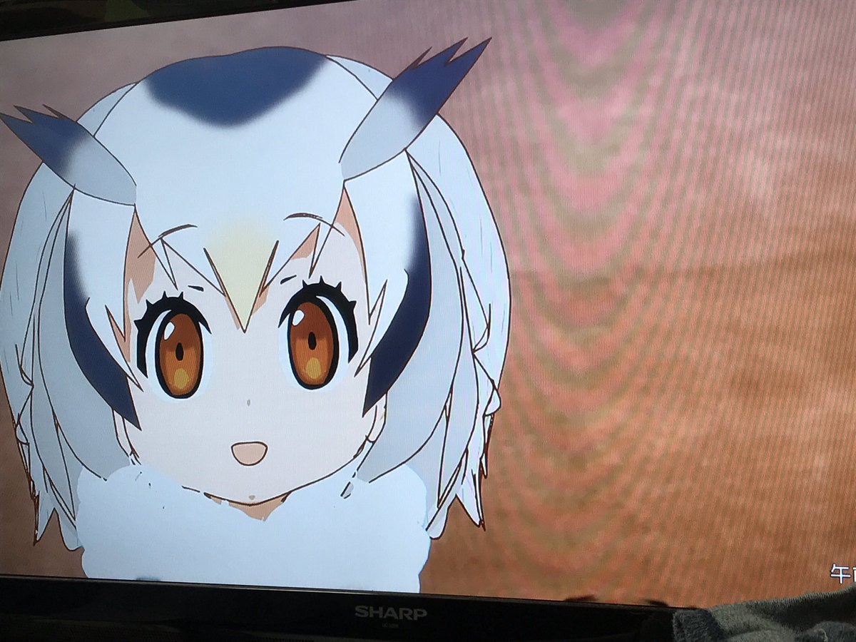 ノル Twitterissa 博士 美味しいものを食べてこその 人生なのです 助手 我々はおかわりを待っているの ですよ さらっと名言を言う博士と助手 けものフレンズ