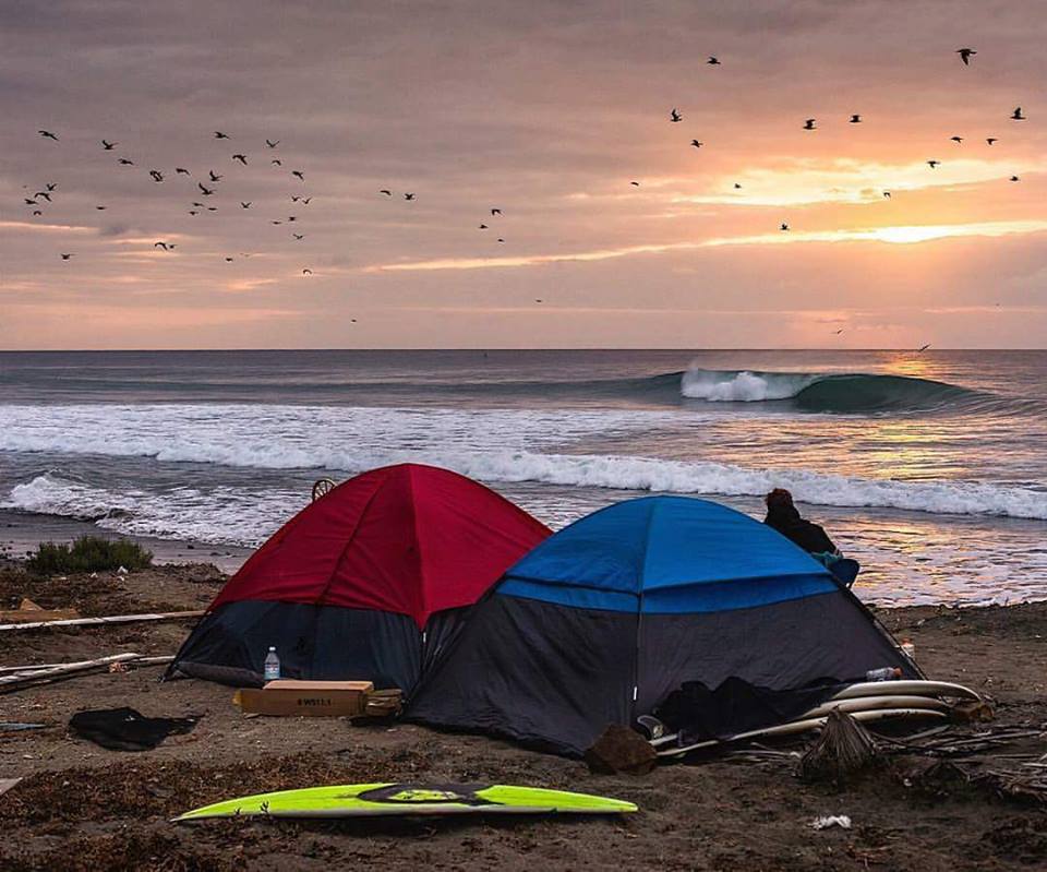 itwwcf's tweet image. 🌴🌴