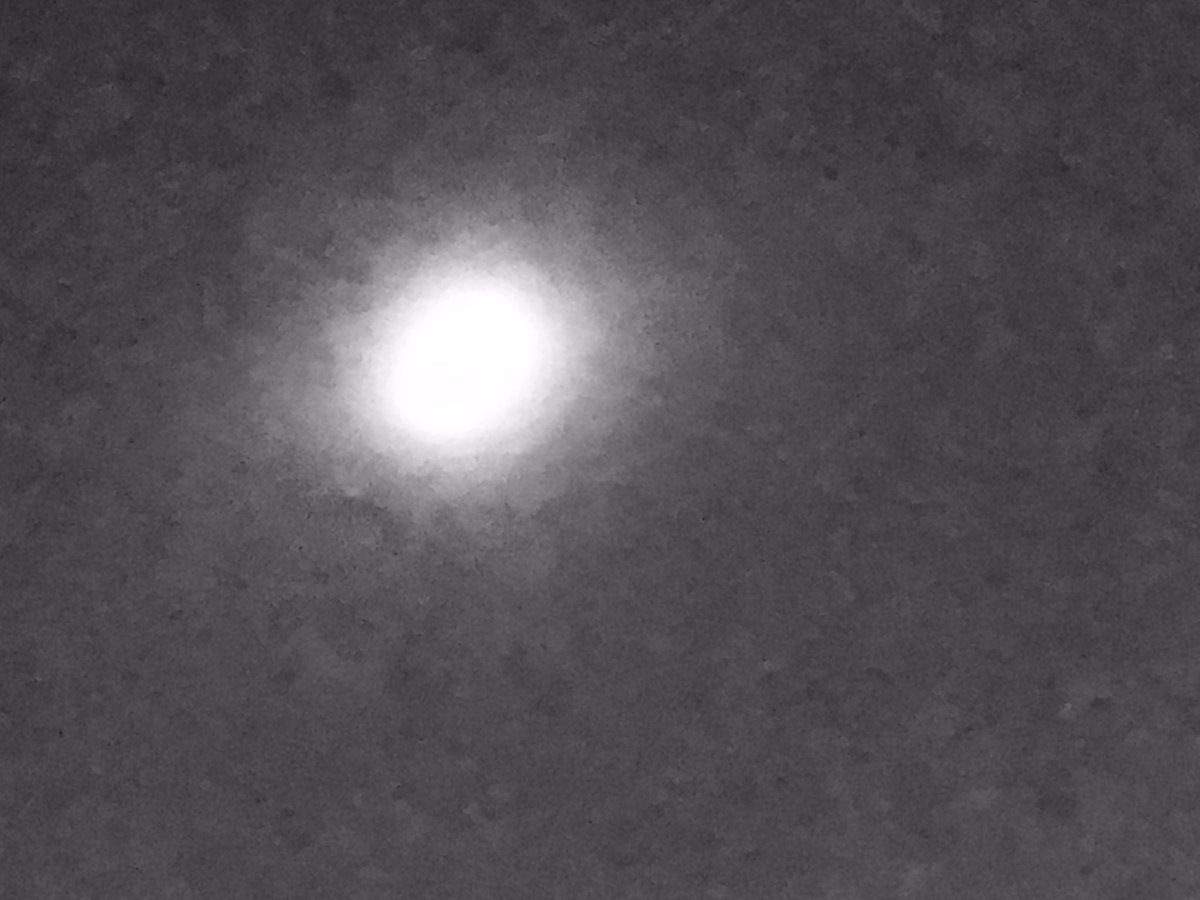 chefpatrickr's tweet photo. So I was trying to photo the #EclipseSolar2017 in it #totallity in @columbiasc https://t.co/B0qCRqidUX