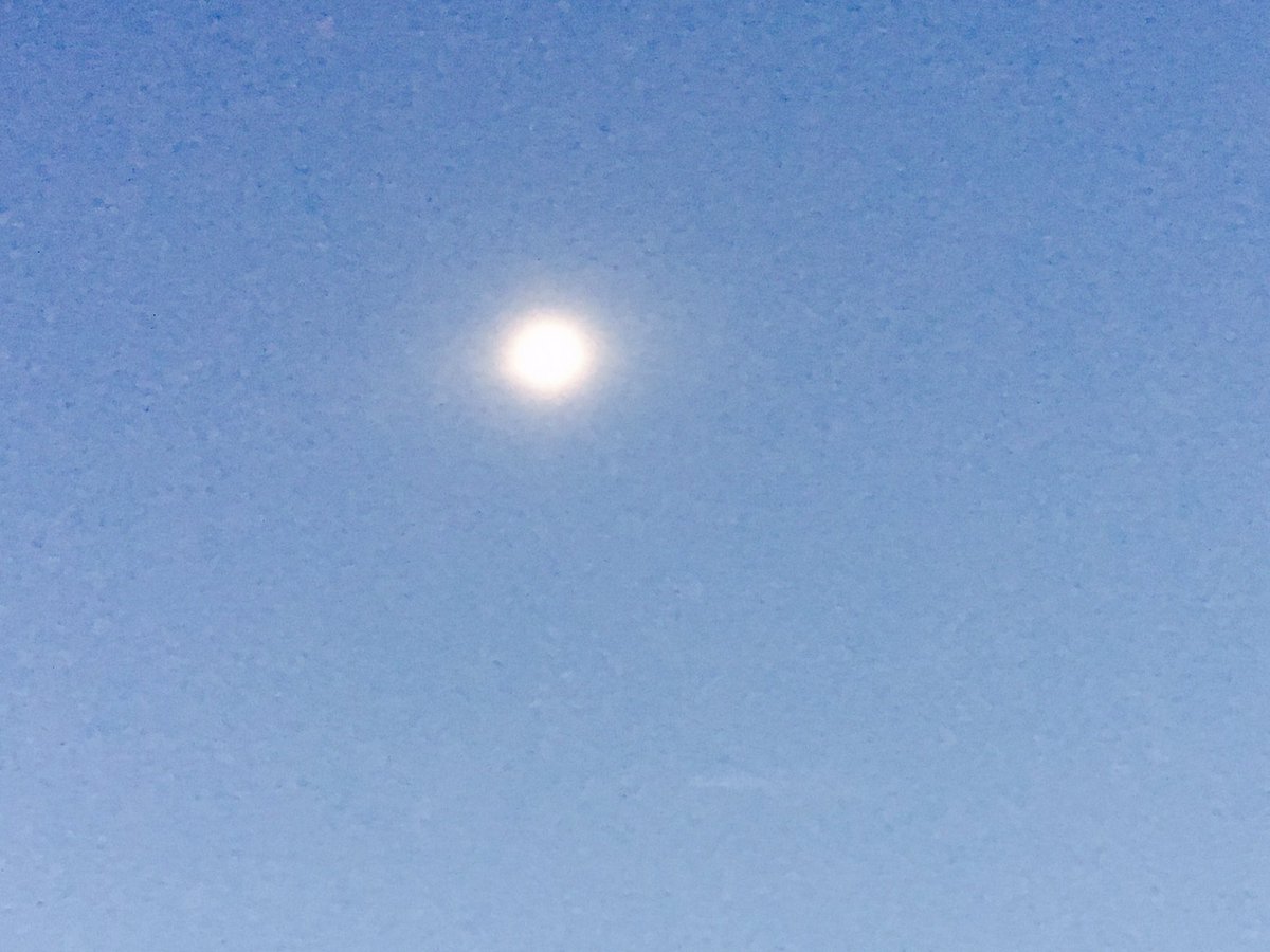 chefpatrickr's tweet photo. So I was trying to photo the #EclipseSolar2017 in it #totallity in @columbiasc https://t.co/B0qCRqidUX