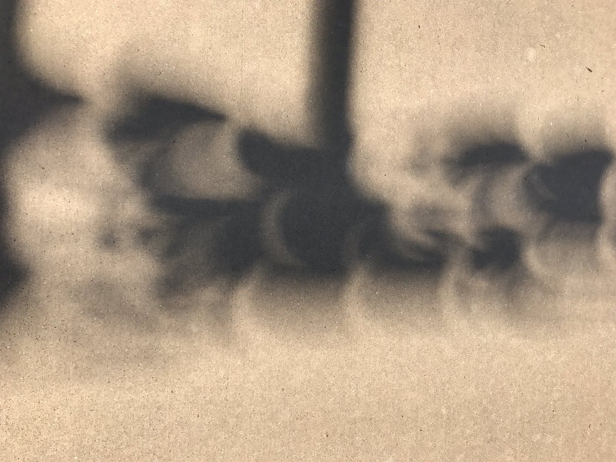 So glad I got to see the Eclipse with this amazing group of learners! Thank you for hosting me Jess Harben!