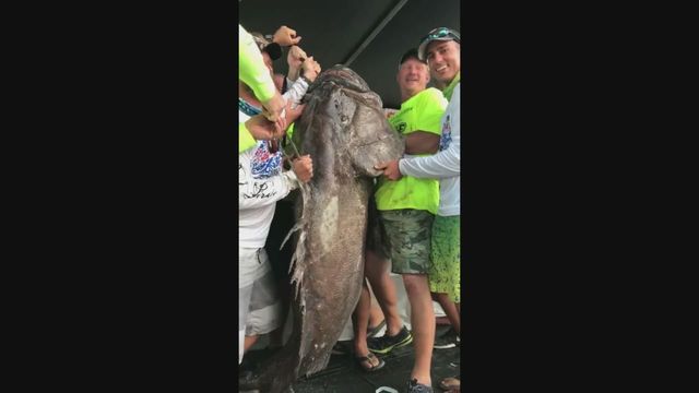 NO JOKE: A firefighter literally caught a really, really big fish in Florida. bit.ly/2x7aX8V https://t.co/A38O0Ciq3I