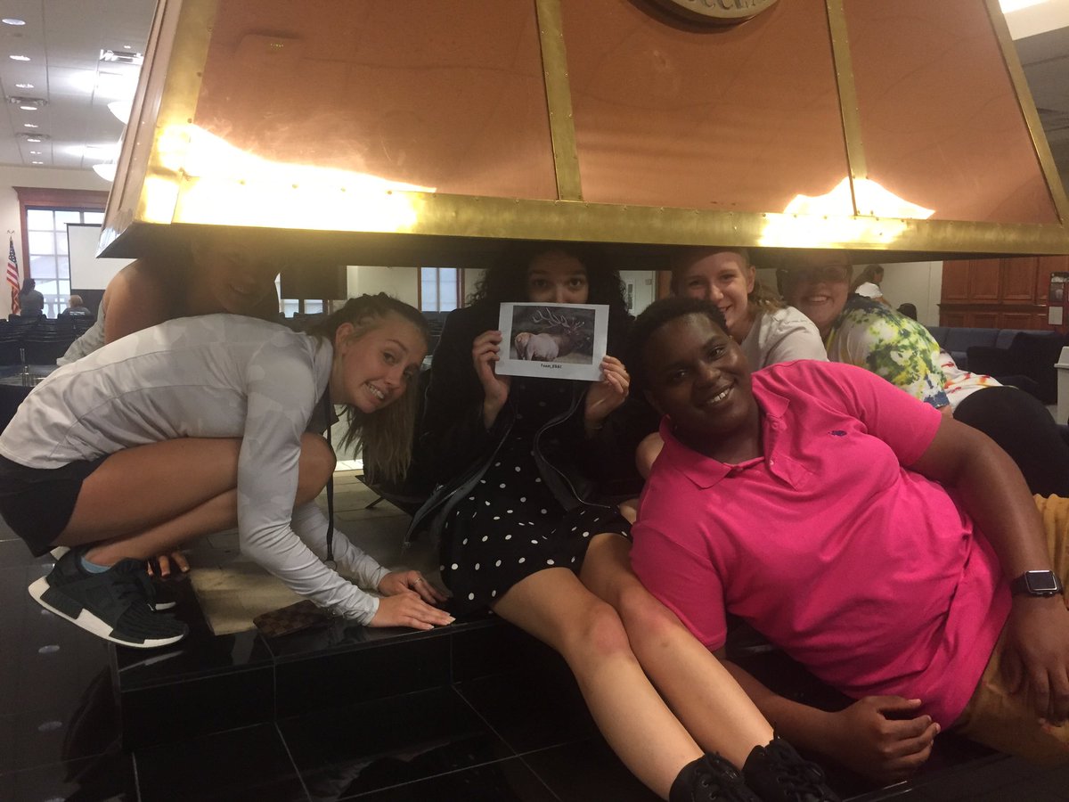Team_ElkEC's tweet photo. Our new shelter is almost as hot as Schick and Niebuhr..... #ourshelterisLIT  @ec_ranger https://t.co/CljxEYTCpi