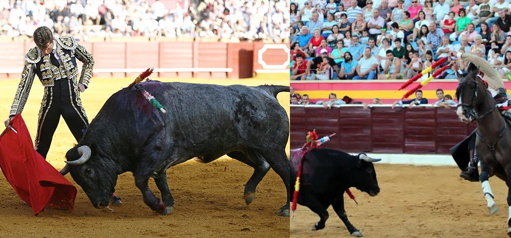 📍La corrida de Victorino de Yecla seguirá siendo 🐃mixta🐎 pese a la baja de Ginés Cartagena elmuletazo.com/2017/08/21/la-…
