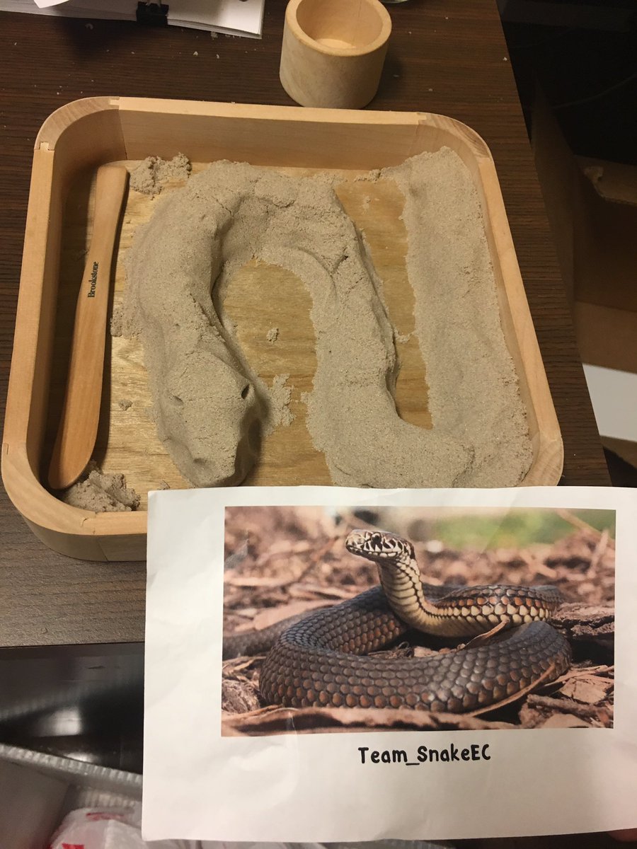 Team_SnakeEC's tweet image. @ec_ranger Ssssmile Sssand Snakes #StephaniesOffice #EcSnakeOver
