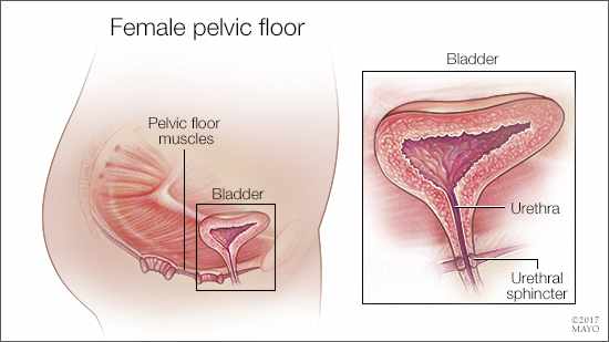 Mayo Clinic tweet media
