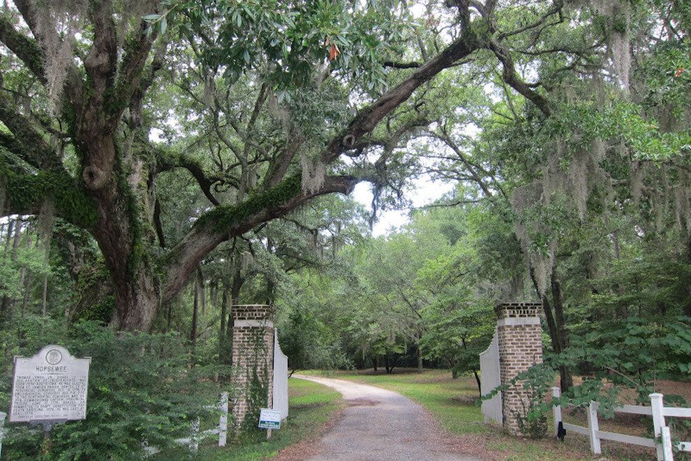 BGartonPV1's tweet photo. Hopeswee Plantation, is major rice plantation built in 1735 close by to Georgetown, South Carolina. Pd 2. CUL &amp; WXT #APUSHPV https://t.co/W6ZJdCXFl9