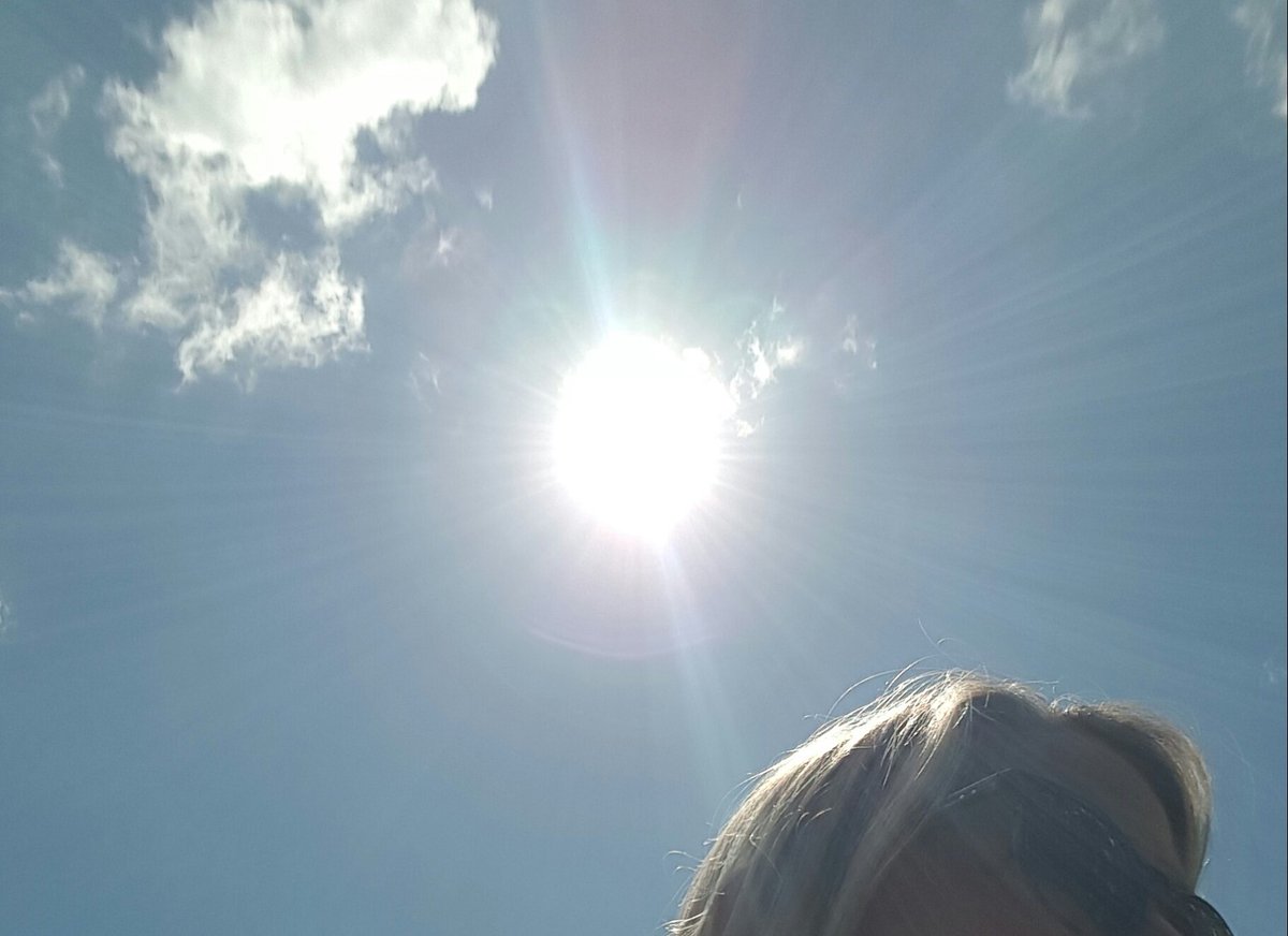 PriscillaWise's tweet photo. Best part was sharing it with my niece, Natalie 💕 #Eclipse2017 #family #floridaeclipse #niece #writers #gobacktoworknow! https://t.co/LnTPjn5v5S