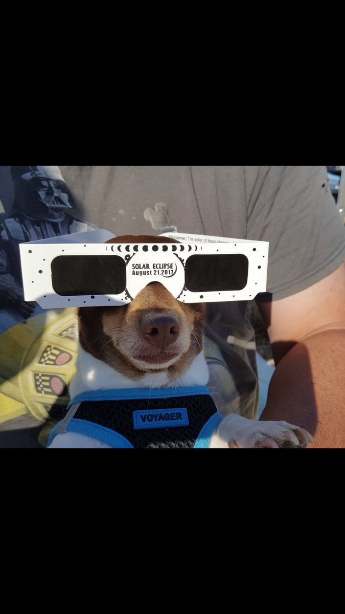 EllieSkinner123's tweet photo. My dad really loves his dog... https://t.co/rjQdOQadPb