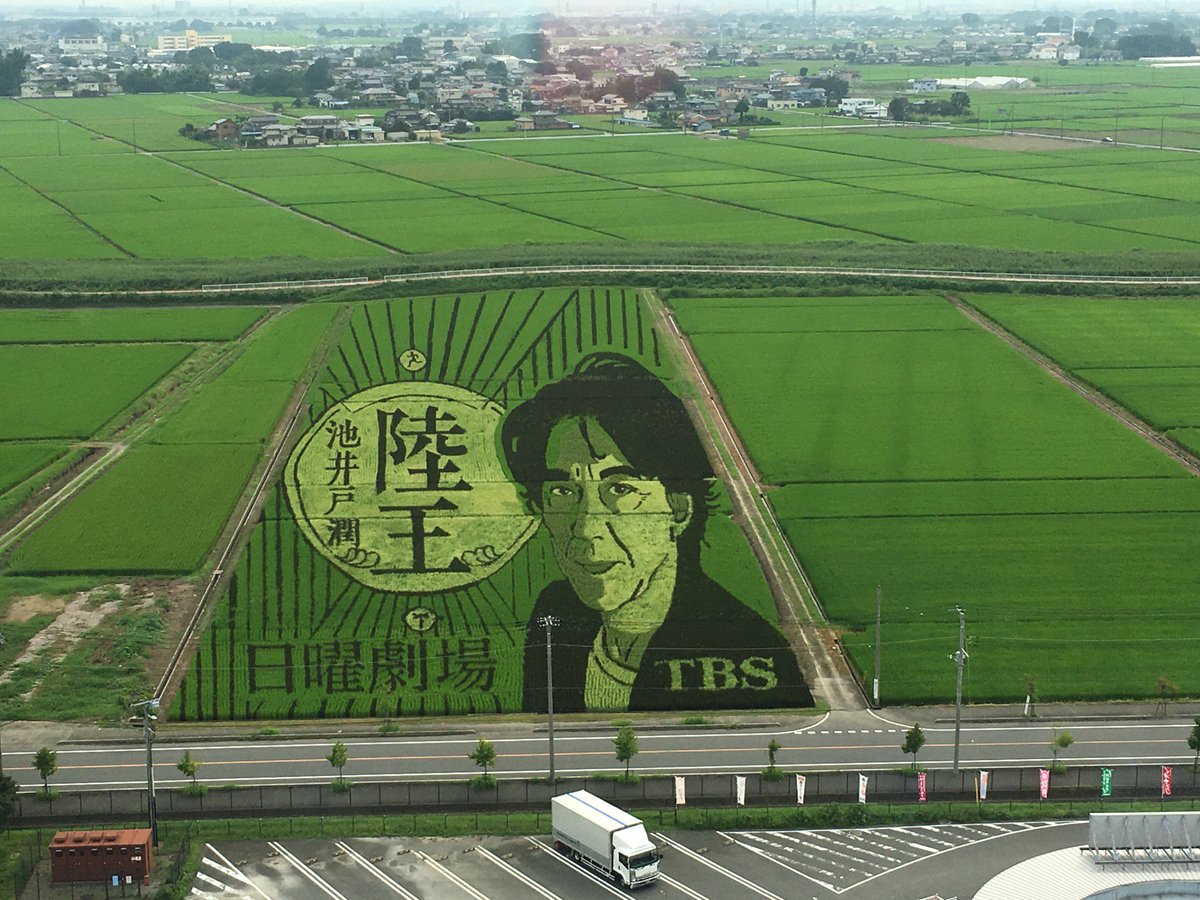 カラフルボディ研究所 村井千波 V Twitter 日本一のたんぼアート 行田 陸王 たんぼアート 古代蓮の里 展望タワー In 行田市 埼玉県 T Co Qj7czwhrz5 T Co 5npwk4trof Twitter