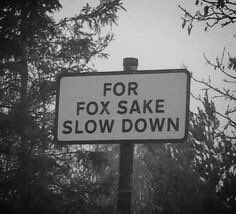 BadAss Biker (@badassbikeruk) on Twitter photo 