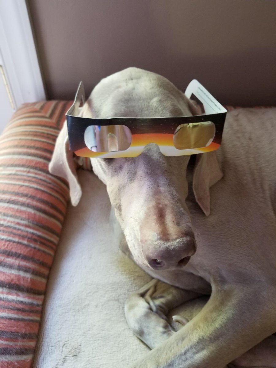 Janice_Marcum's tweet photo. Last post of the #KYEclipse! :) https://t.co/0WqXSSOjOp