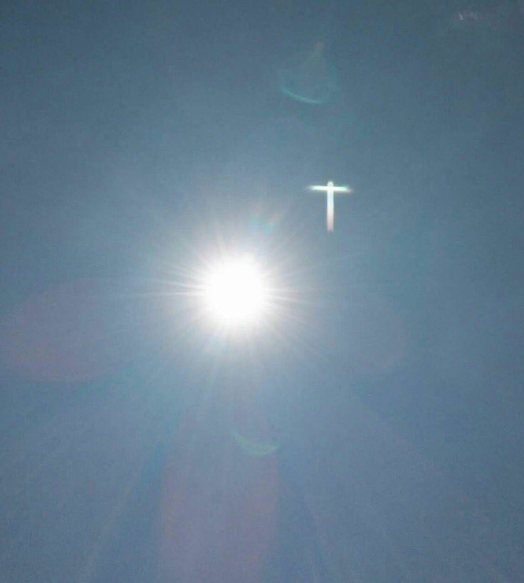 trroutt's tweet image. my sister's friend took this today, and I thought it was pretty cool...He's in everything.