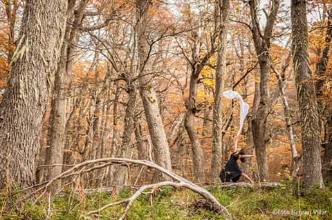 giu_dance's tweet photo. danza y bosque 
ph: @HernanDVillar https://t.co/3TBaZmXZab