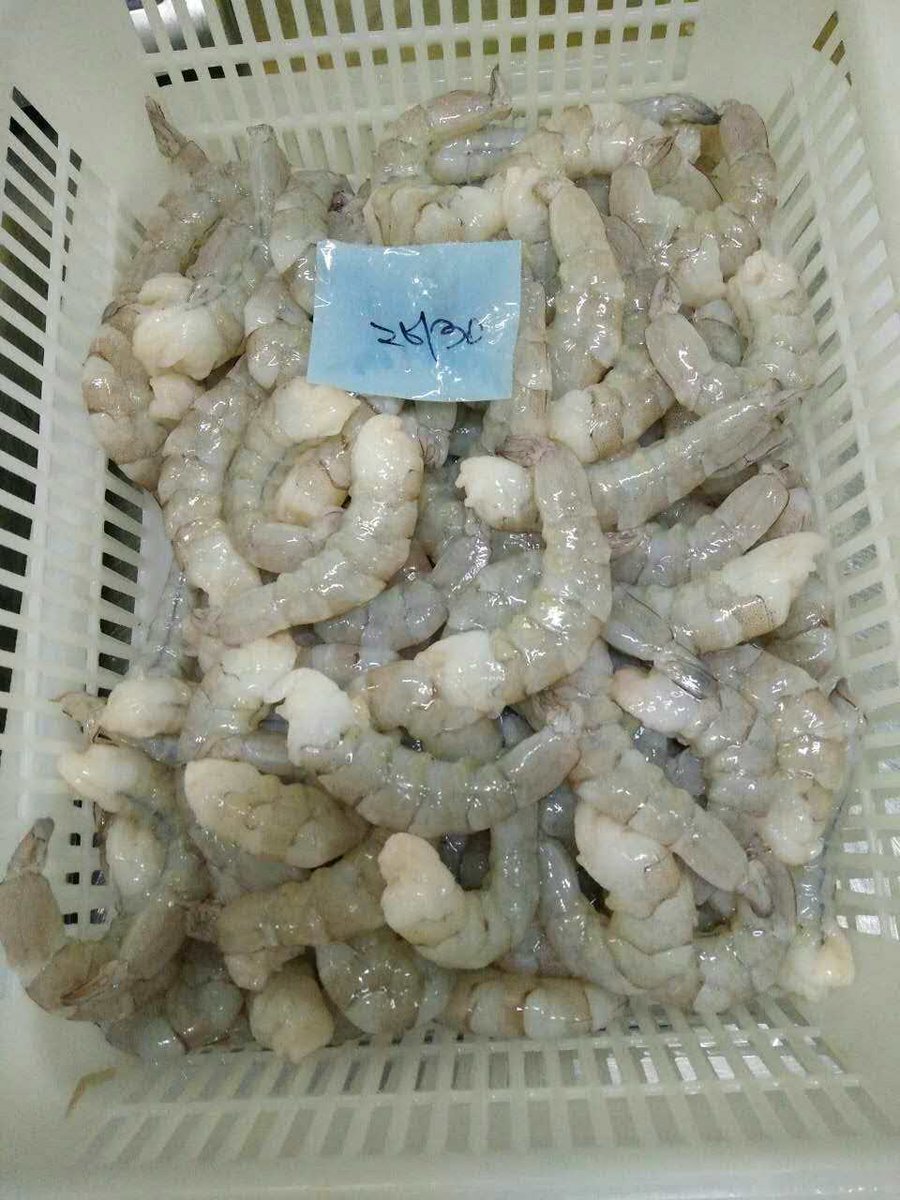 DoubleshellS's tweet image. Vannamei shrimp, raw P&amp;amp;D, 100% net weight
size: 26/30 &amp;amp; 31/40
pack: 6x900g block
target market is EU
