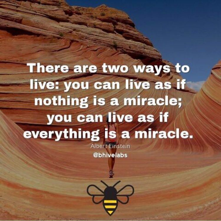 BeeFrugality's tweet photo. On miracles. 🐝
#BHIVE Perspective
.
.
.
.
.
#entrepreneur #smm #startups #bhivelabs #entrepreneurship #startup #wo… https://t.co/zImzw3SCIO https://t.co/WEmosrSUxG