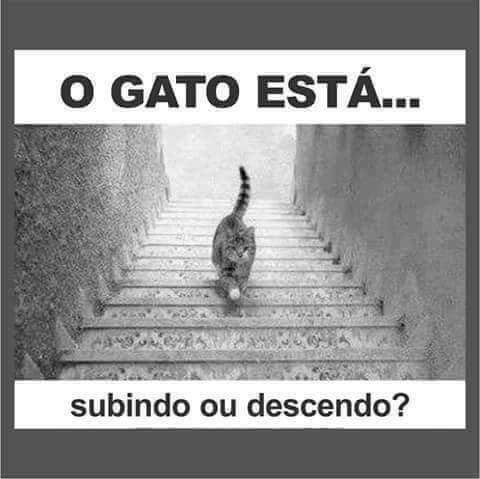 Tais Beta ! (@tais_betha) on Twitter photo 