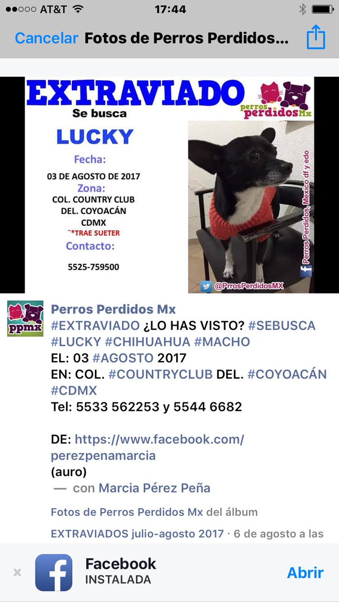 Marcia Pérez P. tweet media