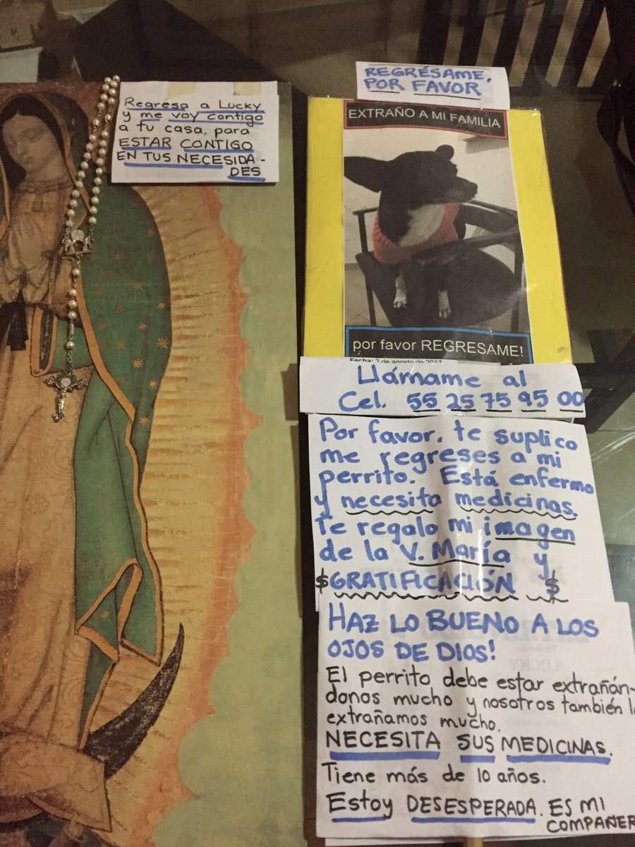 Marcia Pérez P. tweet media