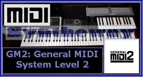 syntheway's tweet photo. #Syntheway General System Level 2 #MIDI 2 #GM2 #MusicalInstrumentDigitalInterface https://t.co/TjzRJ9asN5 https://t.co/lSx9xDAYPh