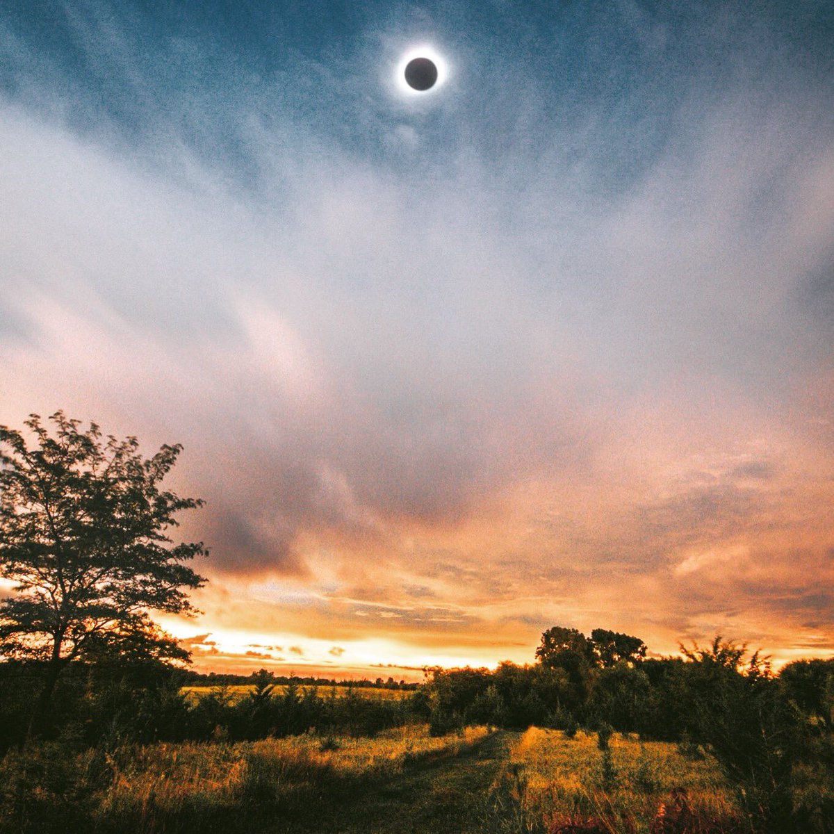 AltHomesteadMon's tweet image. #NebraskaEclipse #eclipse17