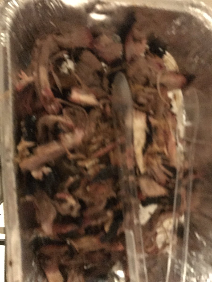 MikeCD80's tweet photo. @NeelysBBQParlor @porkbarrelbbq  @Famous_Daves https://t.co/yc8Yw2uvhx